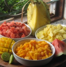 Petit déjeuner Fruits